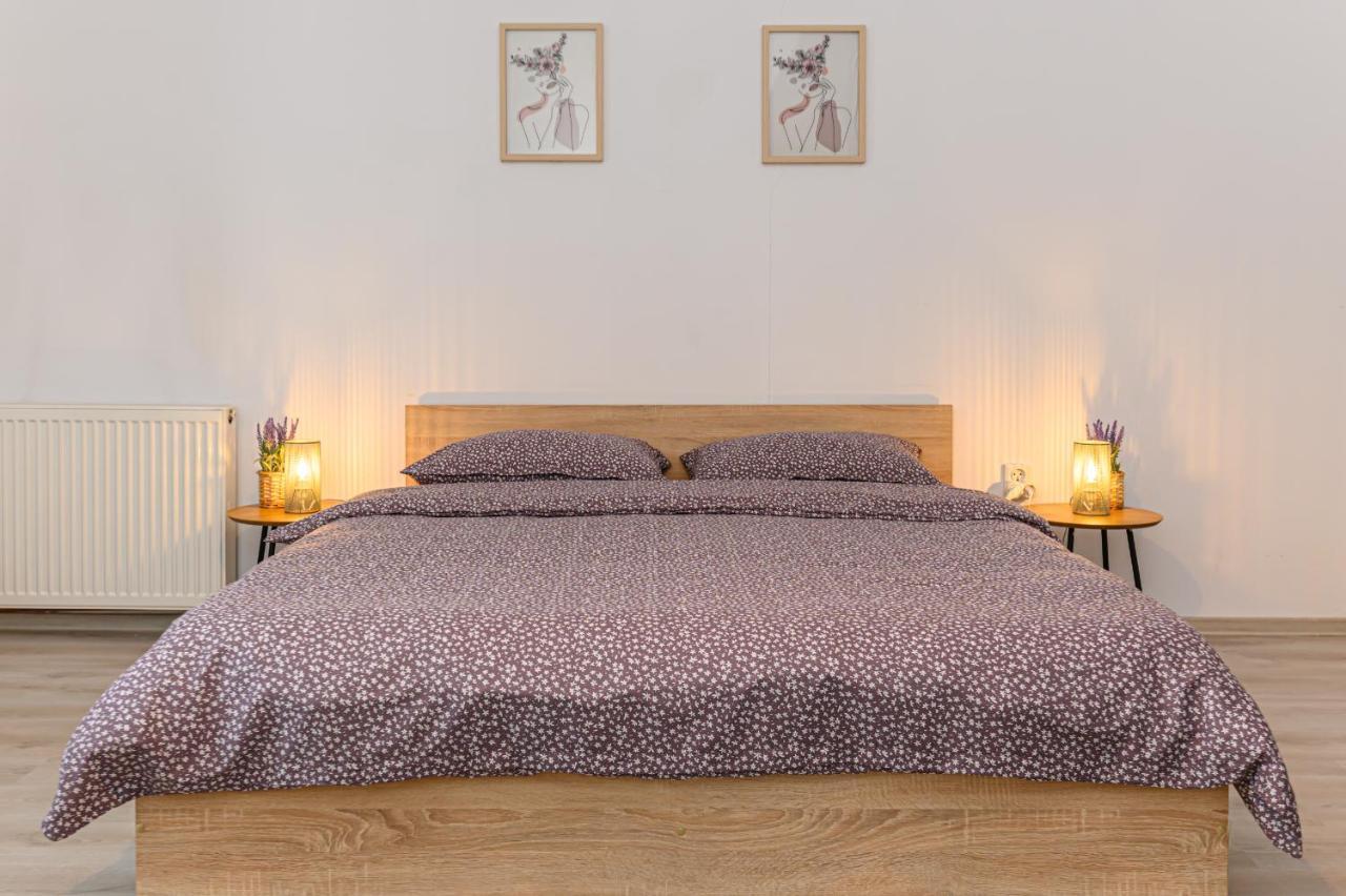 Mountain Oasis Apartment Сіная Екстер'єр фото